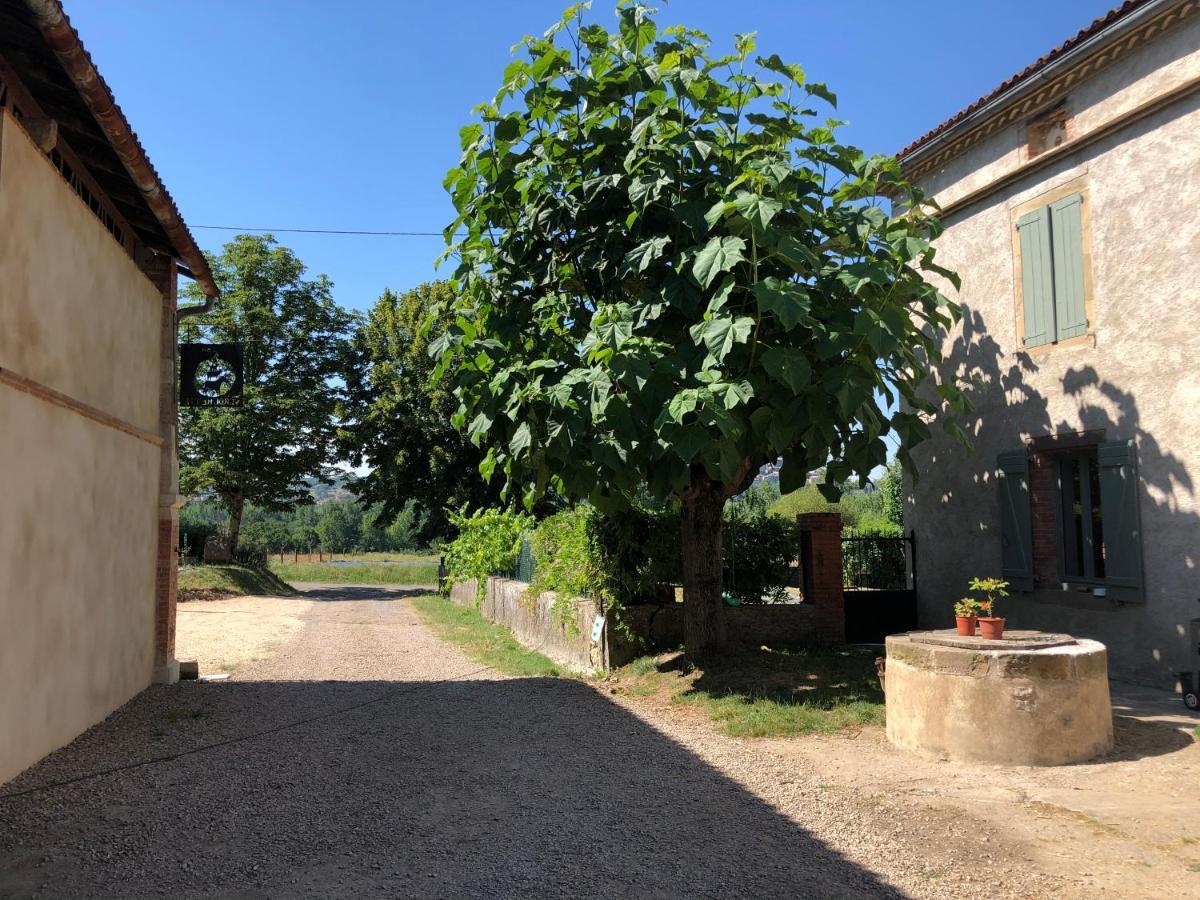 Gite A La Ferme De Verdurette Cordes-Sur-Ciel Buitenkant foto