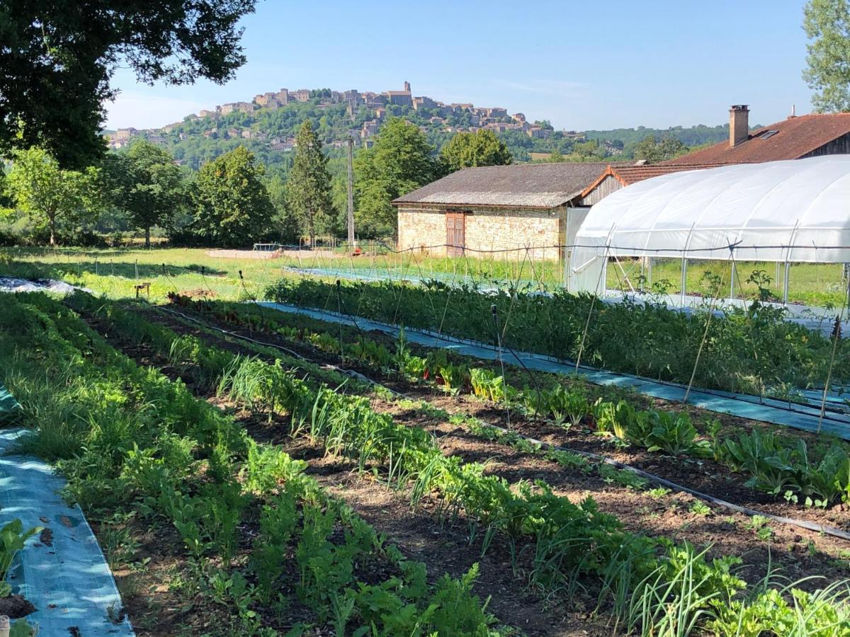 Gite A La Ferme De Verdurette Cordes-Sur-Ciel Buitenkant foto