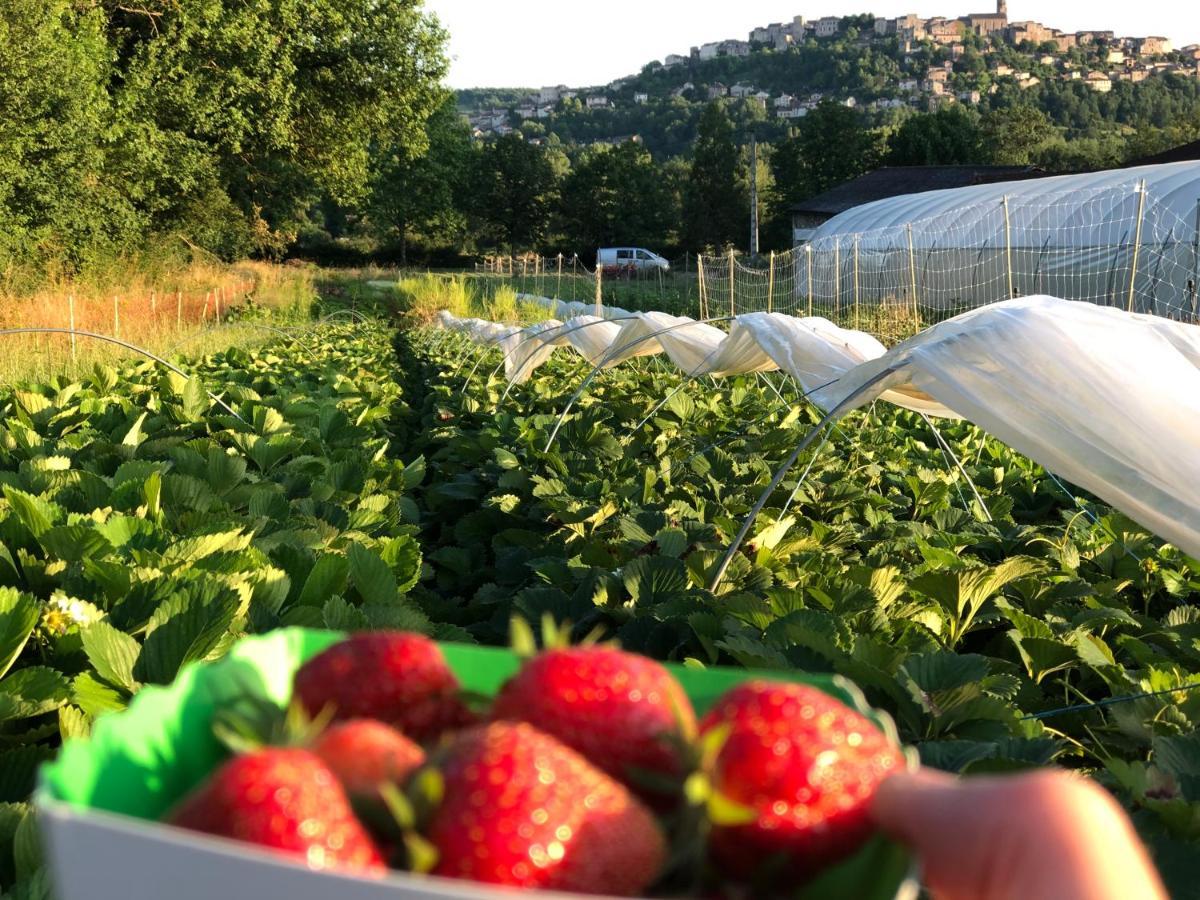 Gite A La Ferme De Verdurette Cordes-Sur-Ciel Buitenkant foto