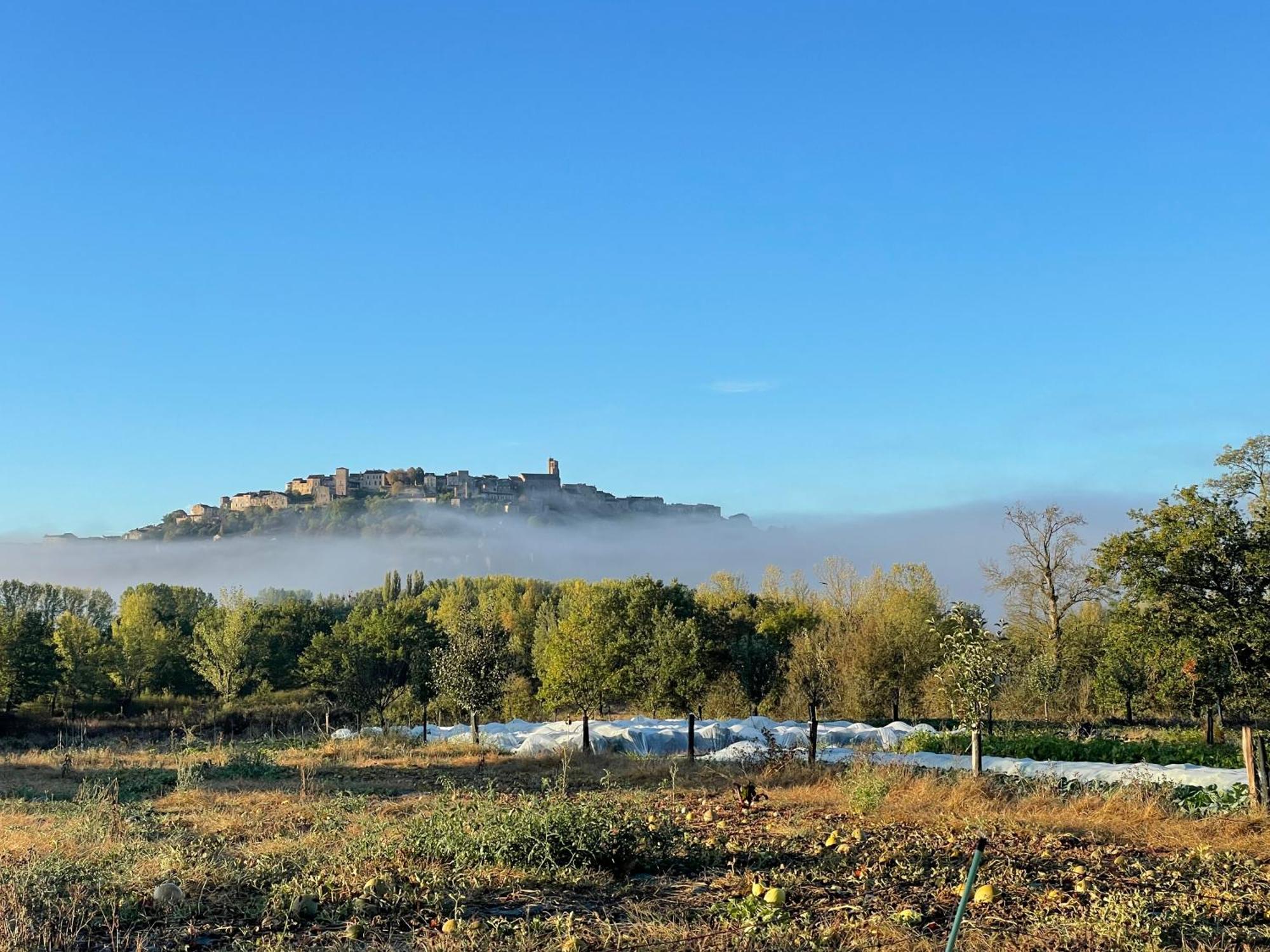 Gite A La Ferme De Verdurette Cordes-Sur-Ciel Buitenkant foto