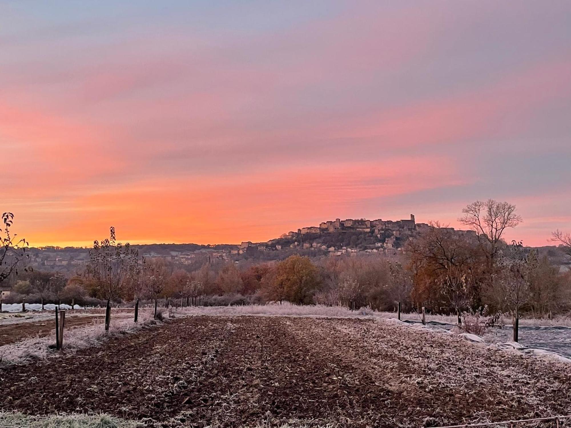 Gite A La Ferme De Verdurette Cordes-Sur-Ciel Buitenkant foto
