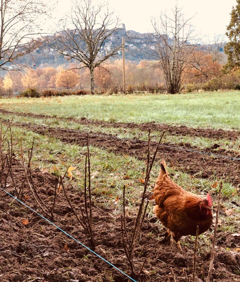 Gite A La Ferme De Verdurette Cordes-Sur-Ciel Buitenkant foto